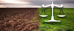 Земельну ділянку вартістю 9 млн грн повернули у власність Вінницької громади