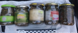 Житель Тульчинського району консервував вдома канабіс