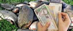 Житель Вінниччини сплатить майже 480 тис. грн за незаконно виловлену рибу