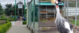 "Зоопарк - відкритий для дітей": понад 7 тисяч діток відвідали вінницький звіринець