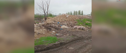 Звалище з тваринними рештками виявили на Вінниччині