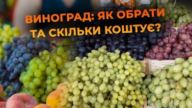 Embedded thumbnail for Ютуб канал