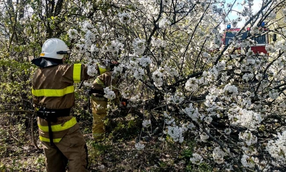 «Деревопад» на Вінниччині потрощені машини, заблоковані траси та госпіталізація 24-річного чоловіка