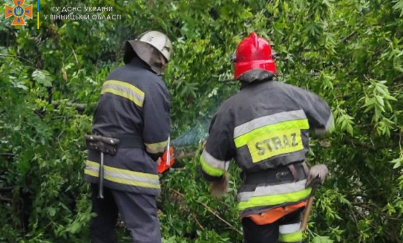 На Вінниччині рятувальники відкачували воду з підтоплених подвір’їв та прибирали повалені дерева