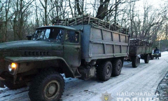 Водії вантажівок не змогли пояснити копам, звідки в причепах взялась деревина