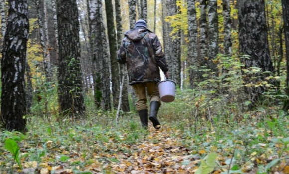 Пішли по гриби і заблукали в лісі: поліцейські допомогли п'ятьом вінничанам