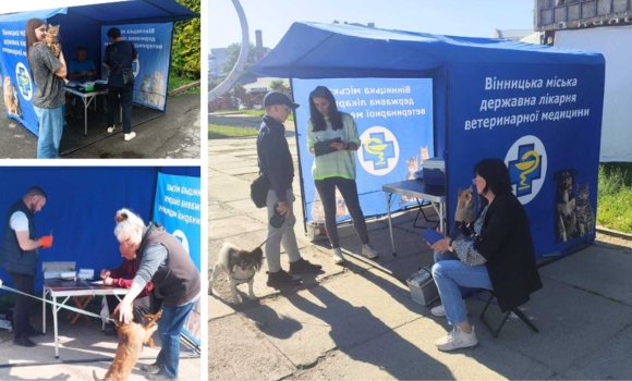 1 травня у Вінниці стартує кампанія з вакцинації домашніх тварин від сказу