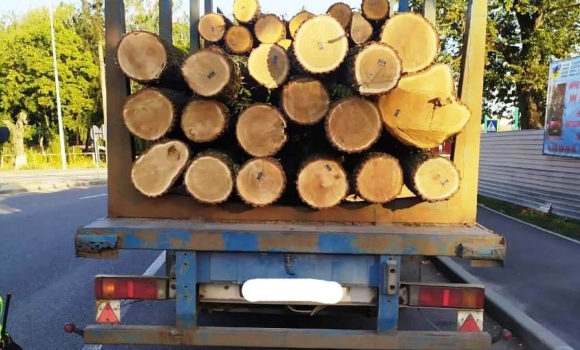 У 2 районах області затримали вантажівки з незаконно зрубаною деревиною
