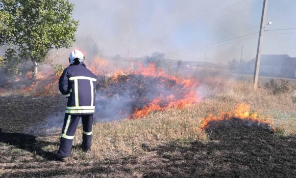 8 разів зминулої доби рятувальники на Вінниччині гасили пожежеі в екосистемах