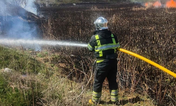 12 пожеж за день: вінницькі рятувальники працюють у посиленому режимі через людську недбалість