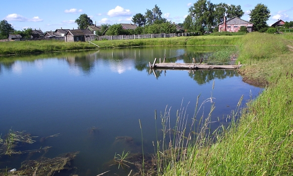 У Вінницькому районі із незаконного володіння повернуто землі водного фонду