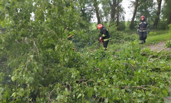 У Вінницькому районі повалені дерева перекрили дороги