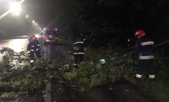 На Львівському шосе у Вінниці через негоду впало дерево