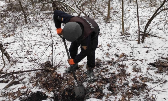 В Козятинському районі в лісовому масиві виявили боєприпаси