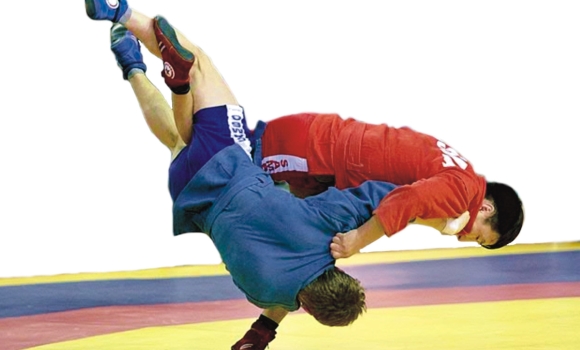 Вінницькі самбісти привезли медалі з чемпіонату України