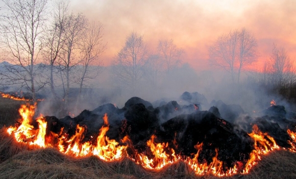 За добу на Вінниччині ліквідували 12 пожеж в екосистемах