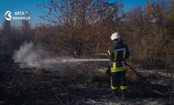 16 загорянь трави за добу на Вінниччині вогонь знищив рослинність на понад 15 гектарах