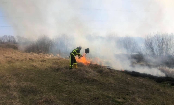 На Вінниччині полум'я знищило майже 12 га сухої рослинності