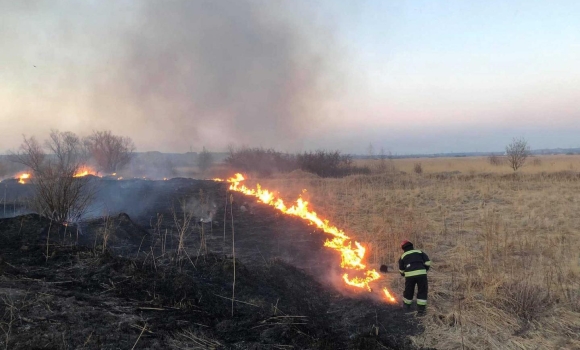 За минулу добу на Вінниччині ліквідували 11 пожеж в екосистемах