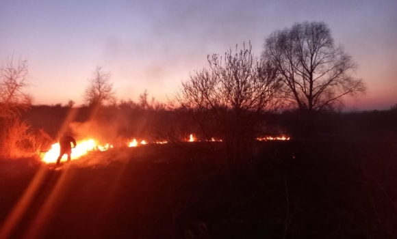 На Вінниччині знову горять сухостої та трава