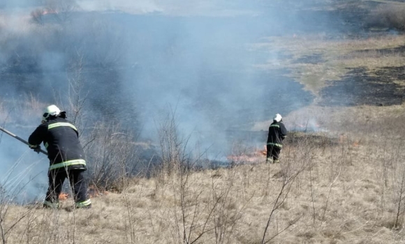 За добу на Вінниччині ліквідували 30 пожеж на відкритих територіях