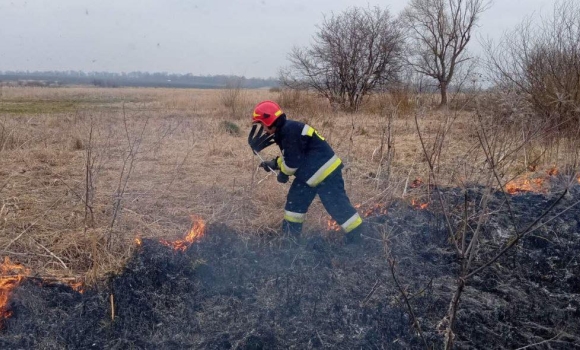 Рятувальники Вінниччини ліквідували 20 загоряннь сухої рослинності