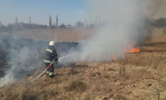 Вінницькі рятувальники продовжують боротьбу з пожежами в екосистемах