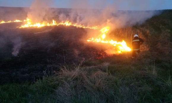 На Вінниччині за добу вогонь знищив близько 6 гектарів сухого настилу