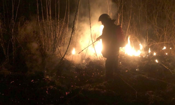 19 загорянь сухої трави, очеретів та сміття сталося на Вінниччині
