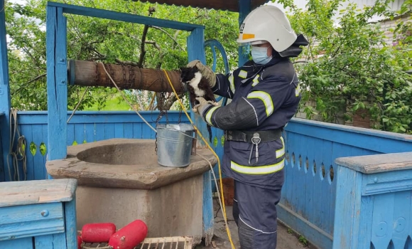 У Четвертинівці з 20-метрової криниці рятували кота
