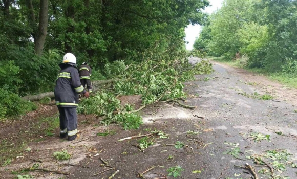 Автошляхи Вінниччини звільнили від повалених вітром дерев