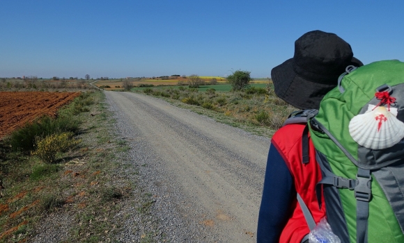 В Україні започаткують пішохідний культурний маршрут Camino Podolico, який проляже через Вінниччину