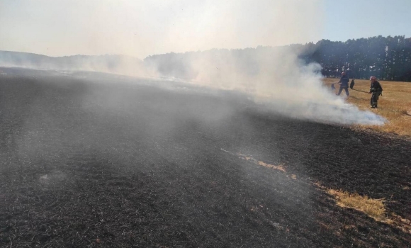 На Вінниччині вогонь знищив 11 гектарів сухої трави