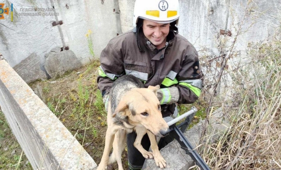 На Вінниччині рятувальники визволяли собаку з ями