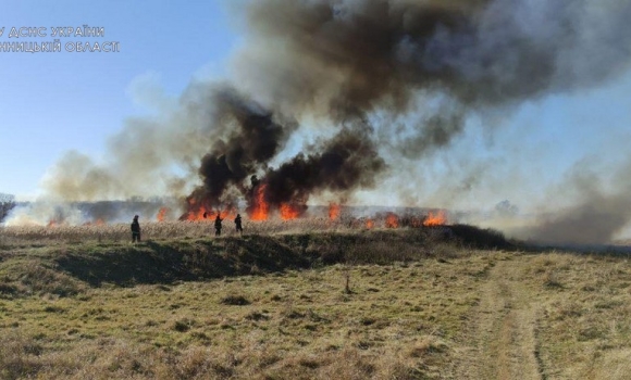 На Вінниччині ліквідували 19 пожеж в екосистемах