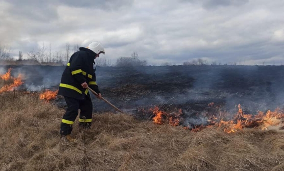 За минулу добу на Вінниччині рятувальники 32 рази гасили пожежі в екосистемах