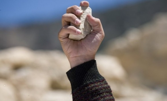 Вінничанин «владнав» конфлікт за допомогою каміння