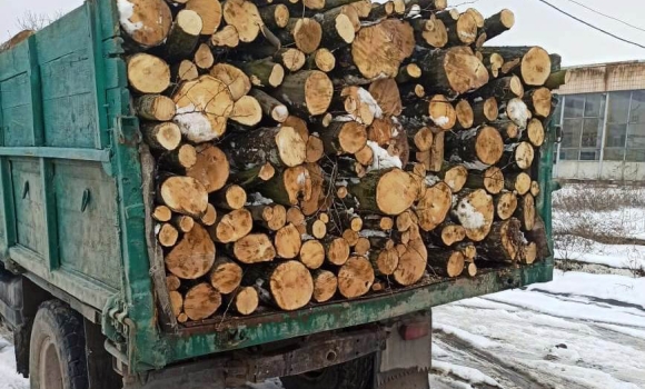 В Немирові зупинили вантажівку повну деревини