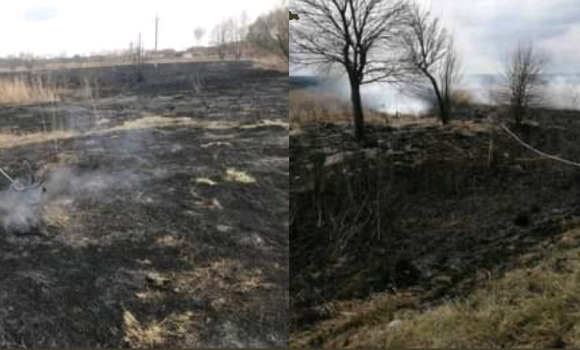 На Вінниччині через необережне поводження з вогнем за добу вигоріло два гектари сухостою