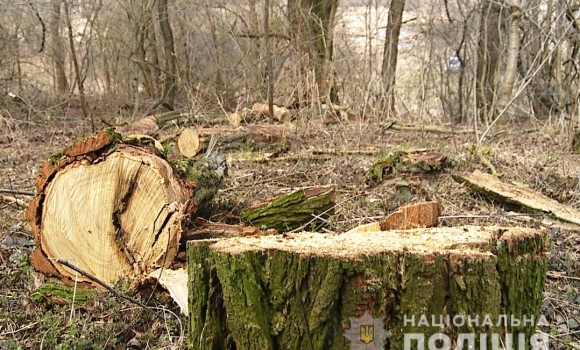 На Вінниччині затримали "чорних лісорубів", в яких виявили гранату та наркотики