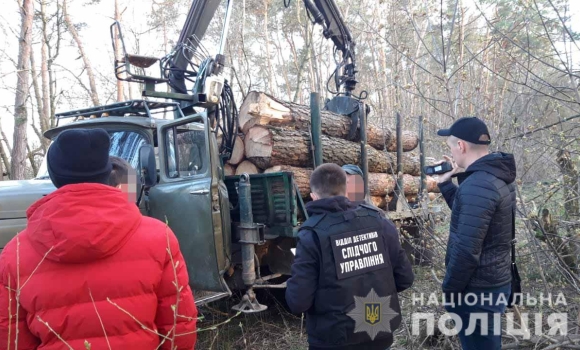 На Вінниччині посадовців одного з лісгоспів підозрюють у незаконній вирубці лісів