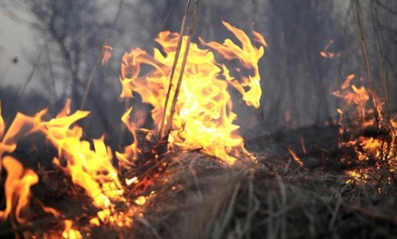 На Вінниччині вогнеборці сім разів  за добу гасили пожежі в екосистемах