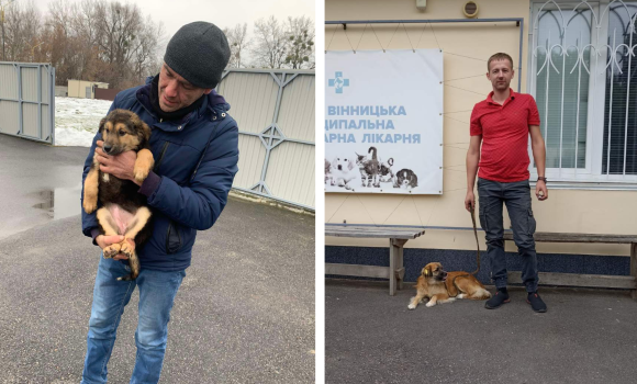 67 собачок з Вінницького муніципального притулку знайшли нові родини