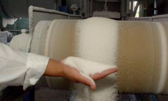 Вінницькі цукрові заводи включилися у “солодкі перегони”