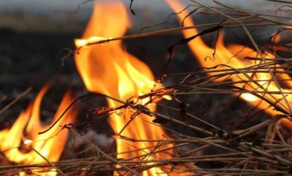 У Козятинському районі сталася пожежа: горіли тюки соломи
