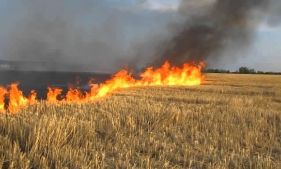 На Вінниччині через необережність з вогнем вигоріло більше 3 га  стерні