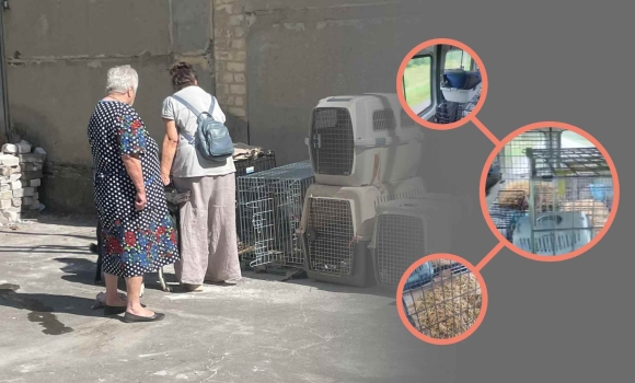 Бабусі-переселенки, яких не прийняло вінницьке село, їдуть на Полтавщину