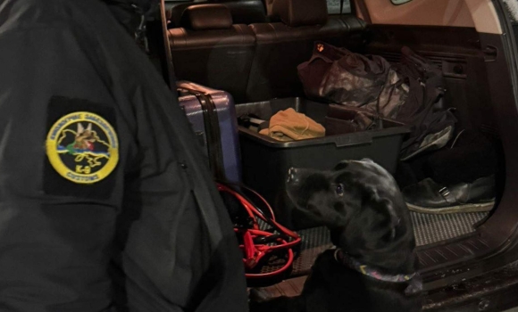 Бойові набої в коробці з-під елітного алкоголю вилучили вінницькі митники