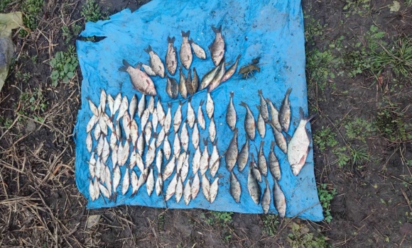 Браконьєри незаконно виловили п’ять кілограмів риби у Хмільницькому районі Браконьєри незаконно виловили п’ять кілограмів риби у Хмільницькому районі