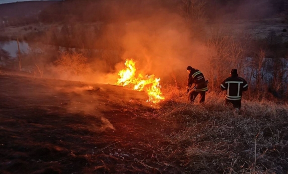 На Вінниччині за добу сталося 26 пожеж в екосистемах 